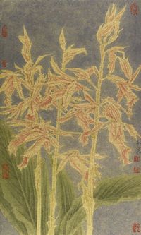 杜平让 花卉 镜框