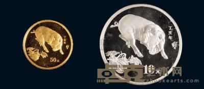 2007年中国丁亥猪年纪念金银币二枚全套 