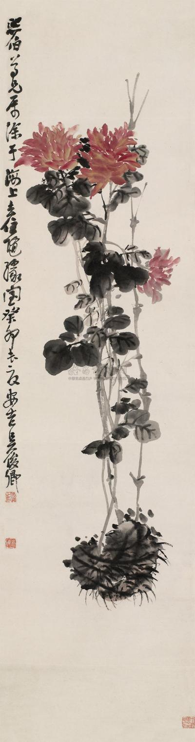 吴昌硕 1903年作 红菊 立轴