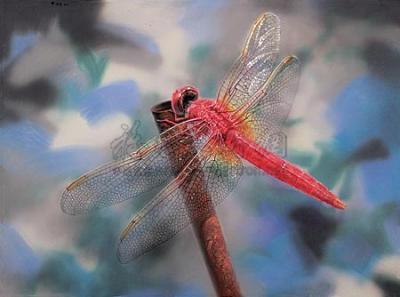 曹静萍 2006年作 红蜻蜓