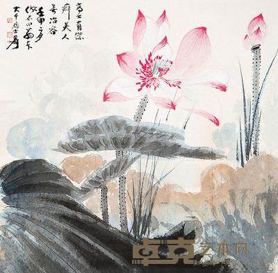 张大千 荷花图 镜心 39×40cm