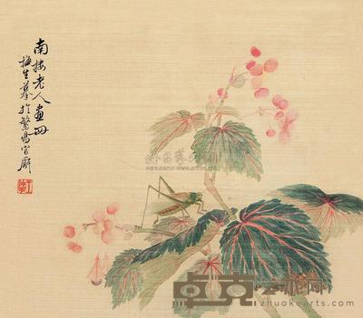 王仲子 花卉草虫 镜心 27×30cm