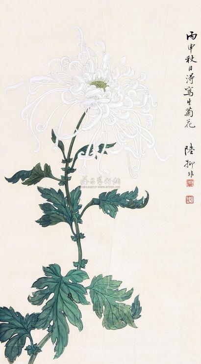 陆抑非 菊花图 镜心