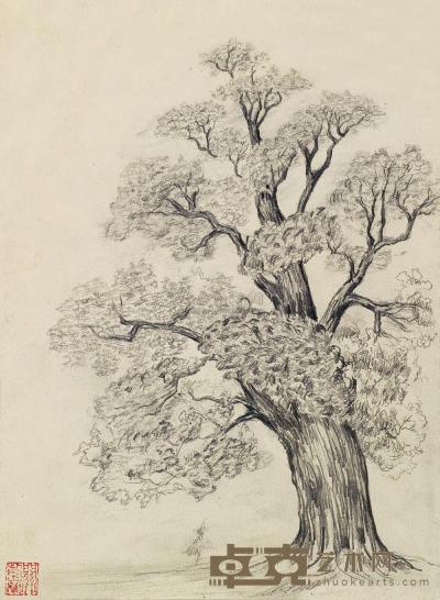 关紫兰 1940年作 树 27.3×20.2cm
