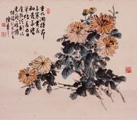 《菊花》片