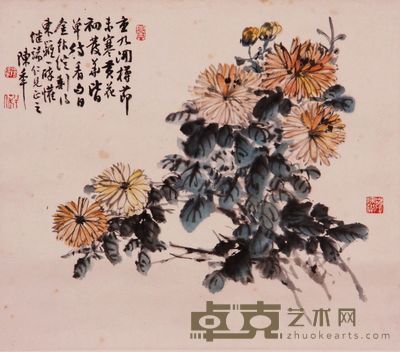 《菊花》片 39×34.5cm