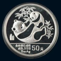 1989年熊猫5盎司纪念银币一枚