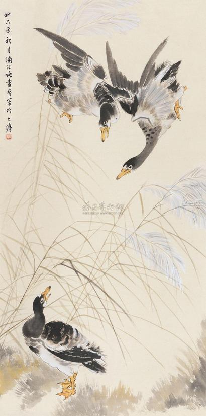 张书旂 芦雁图 立轴