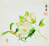 花鸟