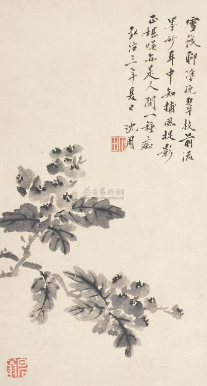 沈周 1490年作 枇杷 立轴