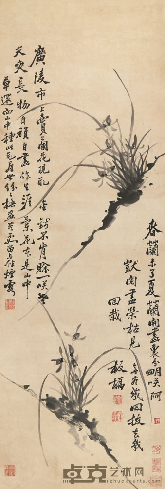 郑燮 兰花 立轴 121×41cm