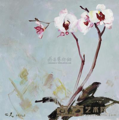 杨之光 2011年作 蝴蝶兰 60×60cm