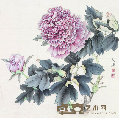 王天胜 花卉 软片 66×65.5cm