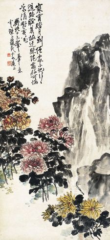 菊石图