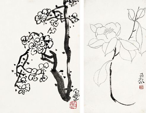 线描茶花·墨梅图