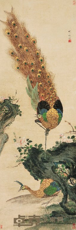 胡湄 孔雀图 立轴 153×51cm