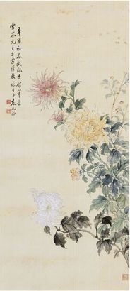 袁光裕 菊花