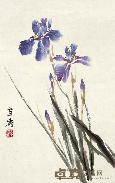 王雪涛 二月兰 镜心 44.5×28.5cm