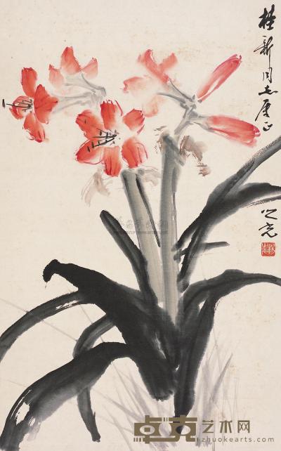 杨之光 花卉 立轴 78×49.5cm