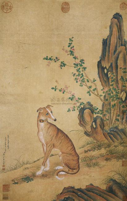 郎世宁 神犬图 立轴