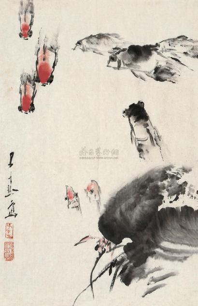 王子武 金鱼 镜片