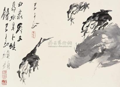 王子武 青蛙 镜片