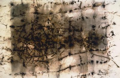 CAI GUO-QIANG MONEY NET NO. 3 - PROJECT FOR ROYAL ACADEMY OF ART， LONDON （DIPTYCH）