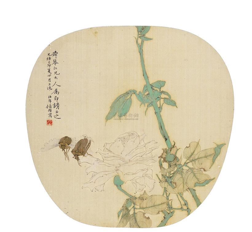 任颐 WHITE ROSE AND CICADAS circular fan leaf，framed