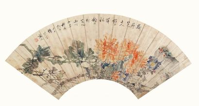 舒浩 花鸟