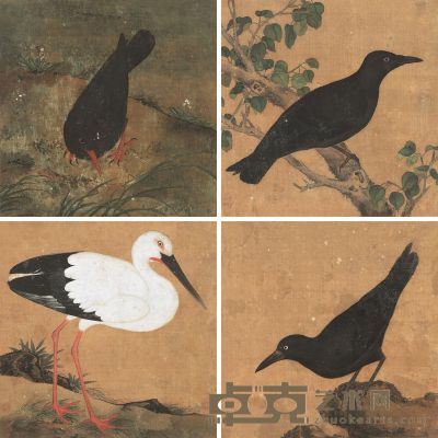 佚名 花鸟 （四帧） 册页 38×38cm×4