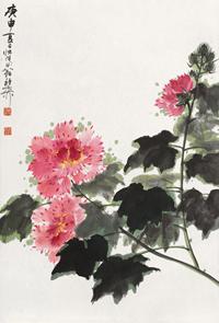 谢稚柳 1980年作 芙蓉花 镜心