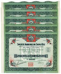 越南老股票：宋雷农业协会（Societe Agricole du Song-Ray）1927年10Piastres共5张连号