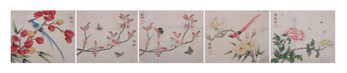 花鸟册页