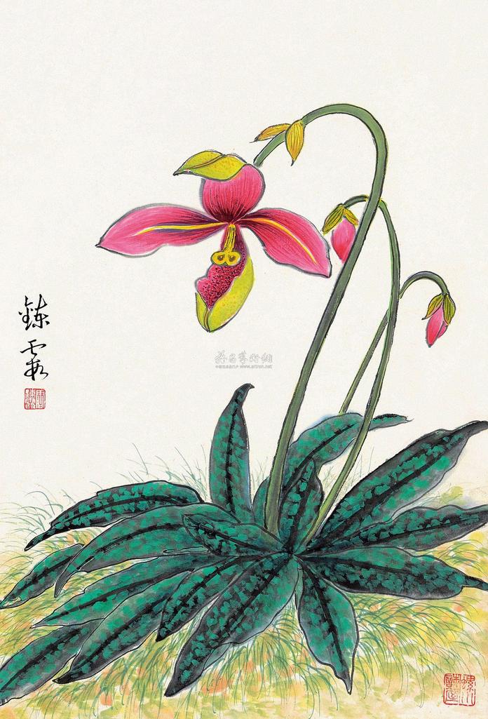 周鍊霞 花卉 立轴 