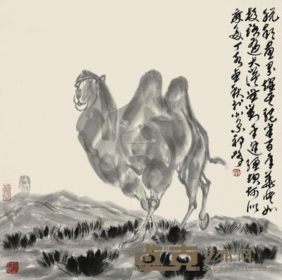 祁峰 2007年作 独驼图 镜心 68×68cm