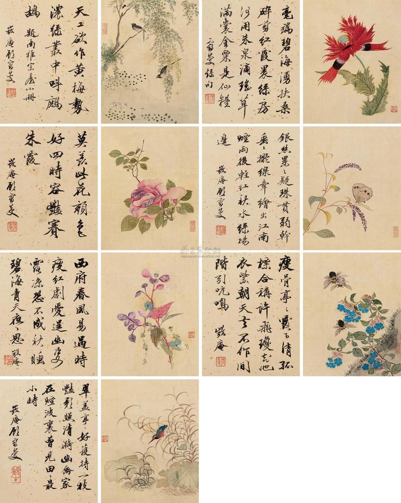 顾莼 花卉册 册页