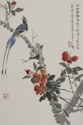 张继馨 绶带鸟
