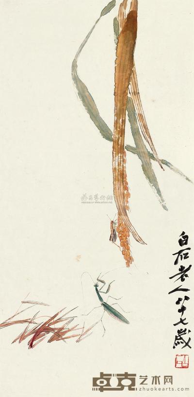 齐白石 1951年作 稻穗草虫 立轴 68×33cm