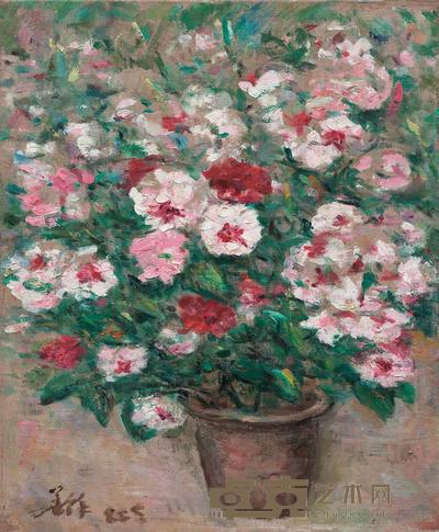 胡善余 1985年作 茶花 46×38cm