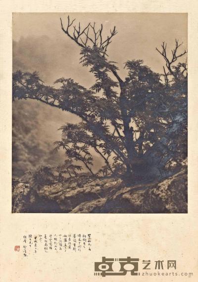 郎静山 1934年作 始信峰顶春树 28×24.5cm；39.5×27.7cm