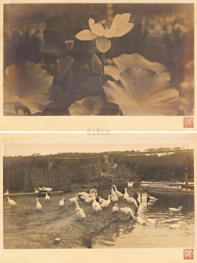 刘半农 1930年代早期作 荷香清远 池畔鹅群 （两幅）