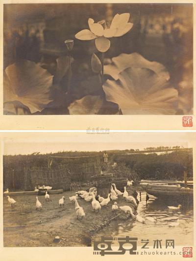 刘半农 1930年代早期作 荷香清远 池畔鹅群 (两幅) 20×30.4cm×2