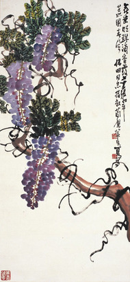 曹简楼 紫藤