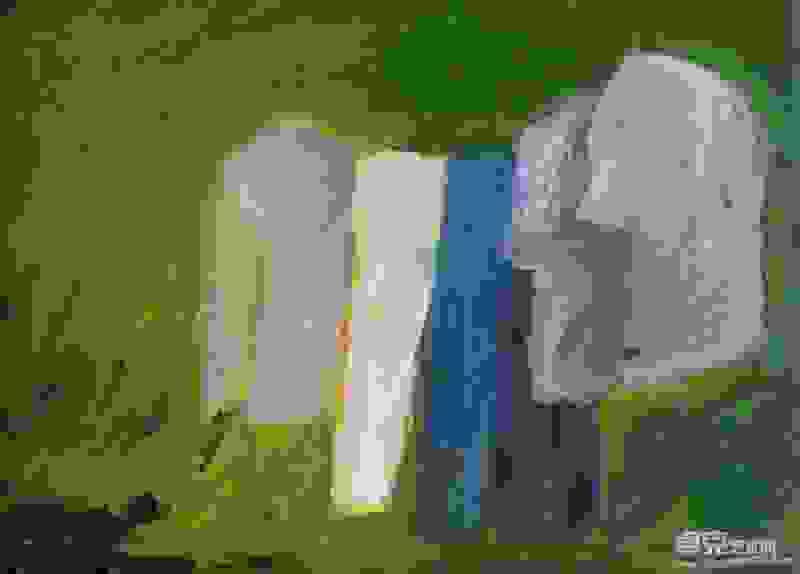 西尔维的画
