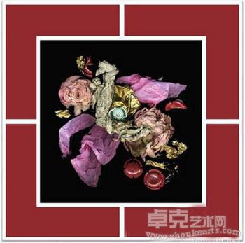 “回收当代静物”雅克.苏索摄影展