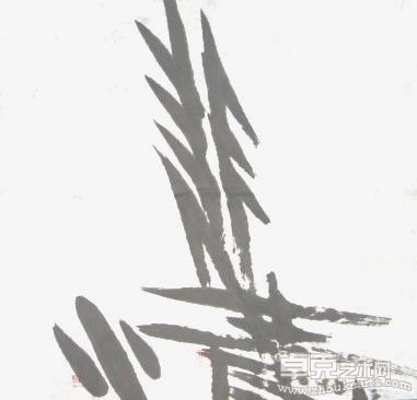 仰望星空  面向大地