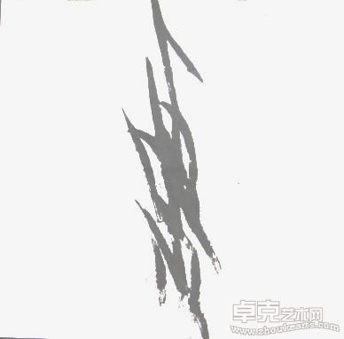 贞女