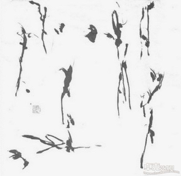 树下听风A