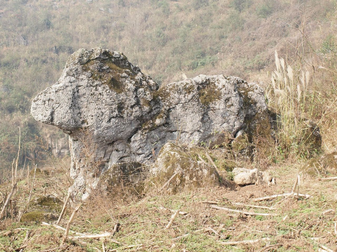 回眸1