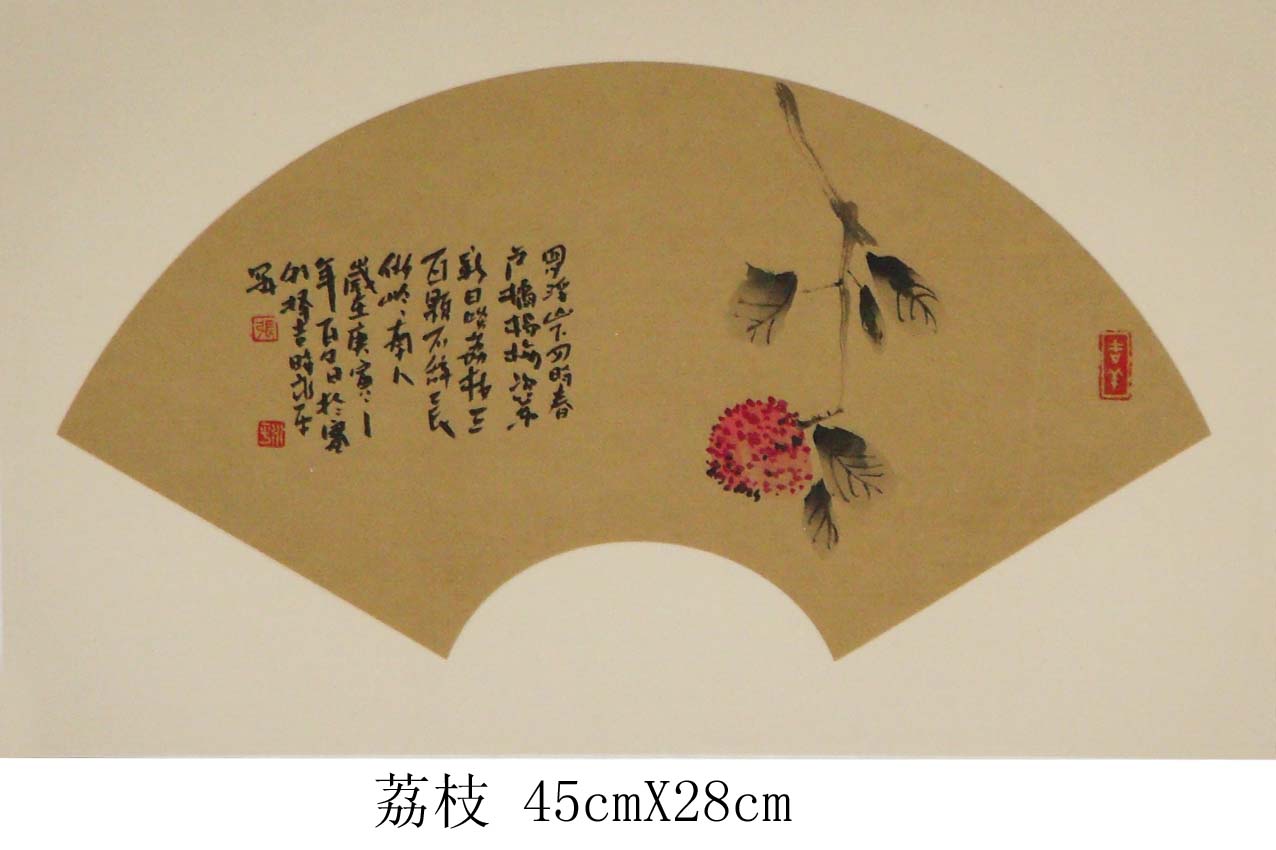 荔枝王45cmX28cm